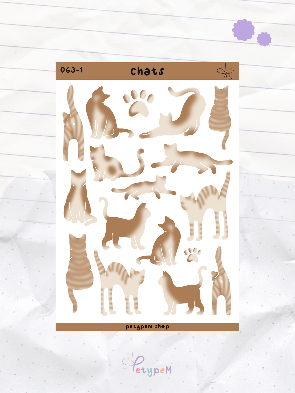 Chats chocolat