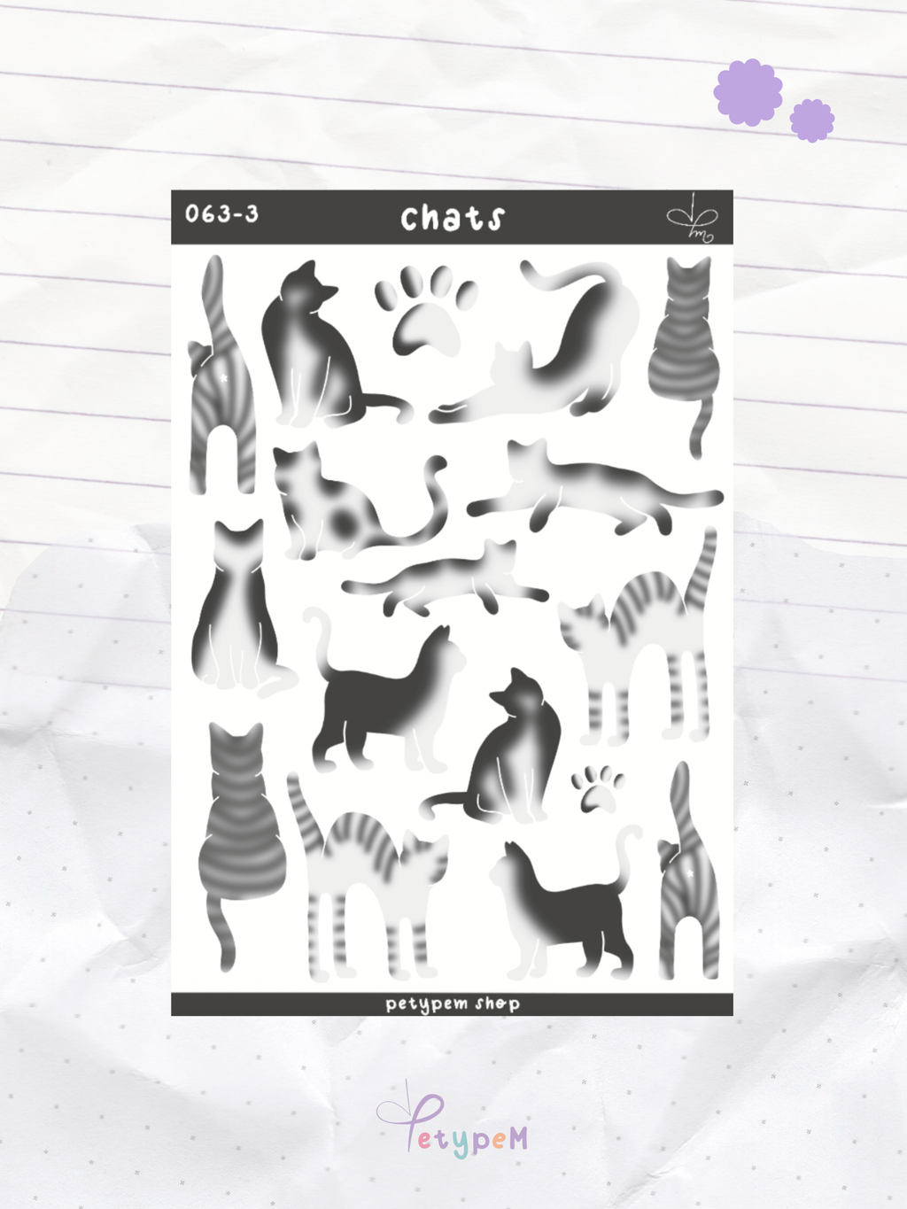 Chats gris