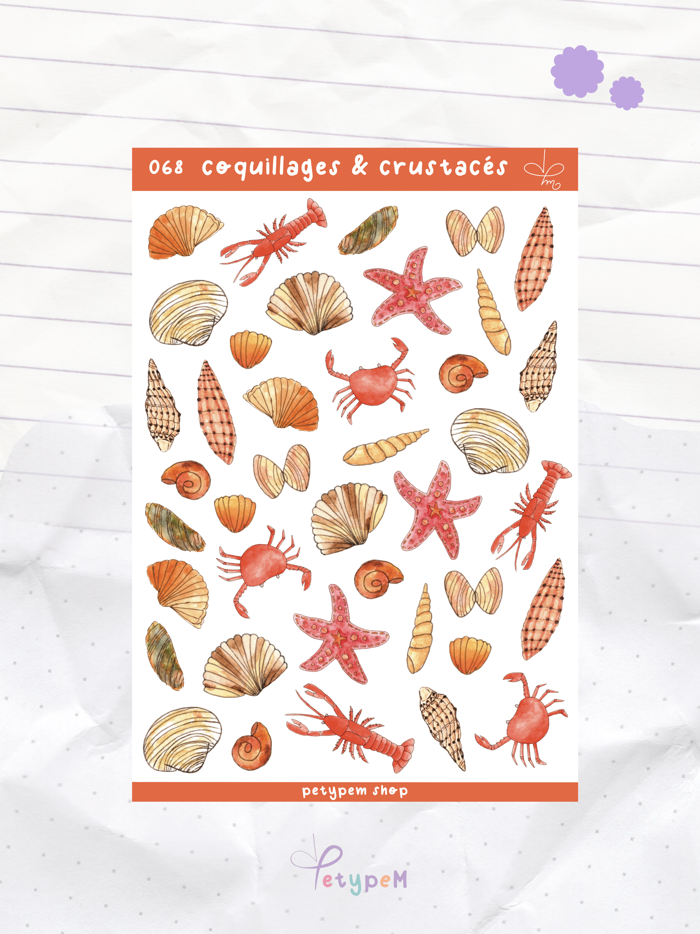 Coquillages et crustacés
