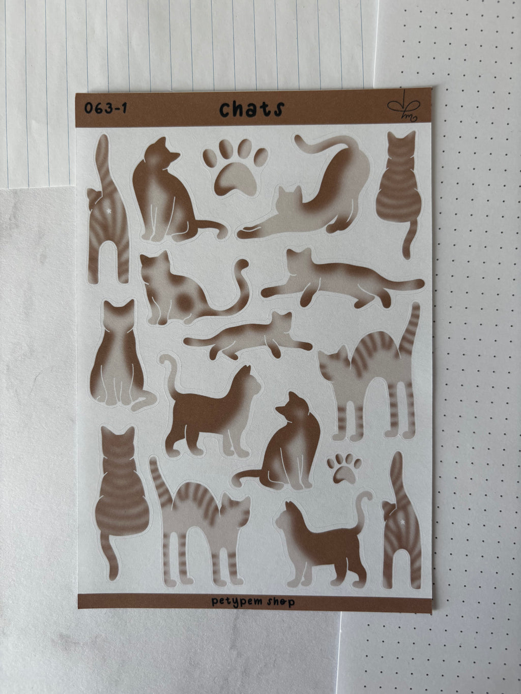 Chats chocolat