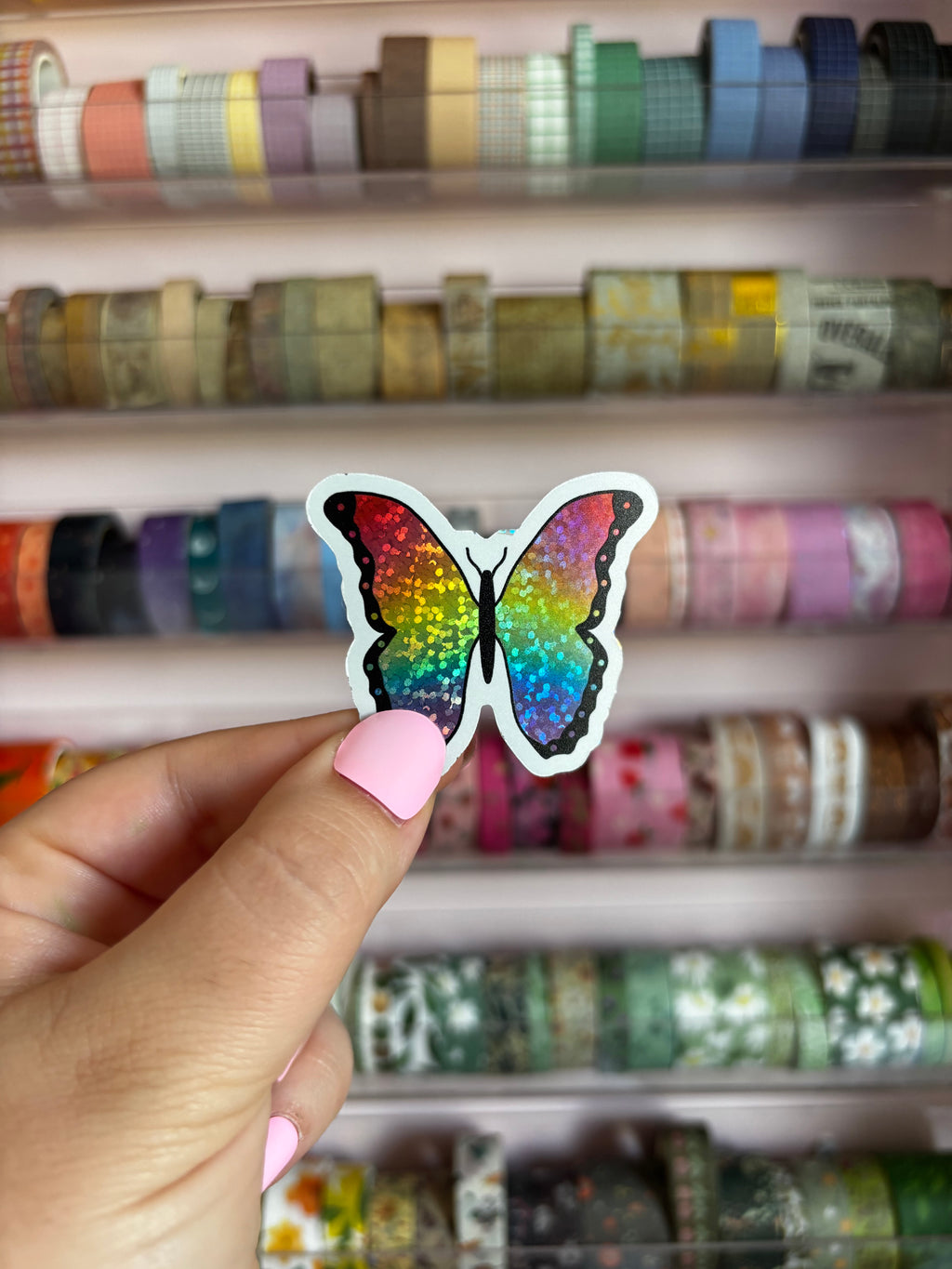 Papillon multicolor